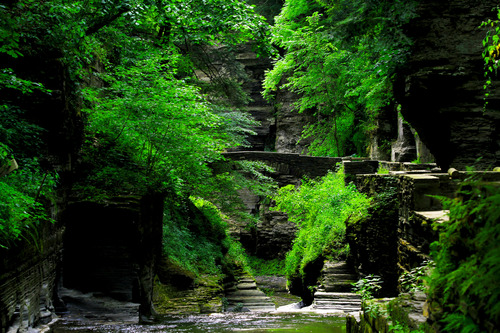 Img_9903tremanithaca