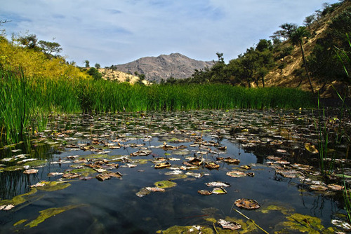 Sandmountaintemplehdr