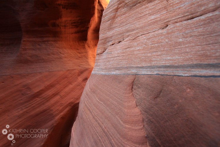 IMG_2359-LRsmall-logo-2