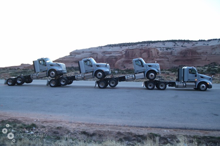 IMG_6420-LRsmall-logo