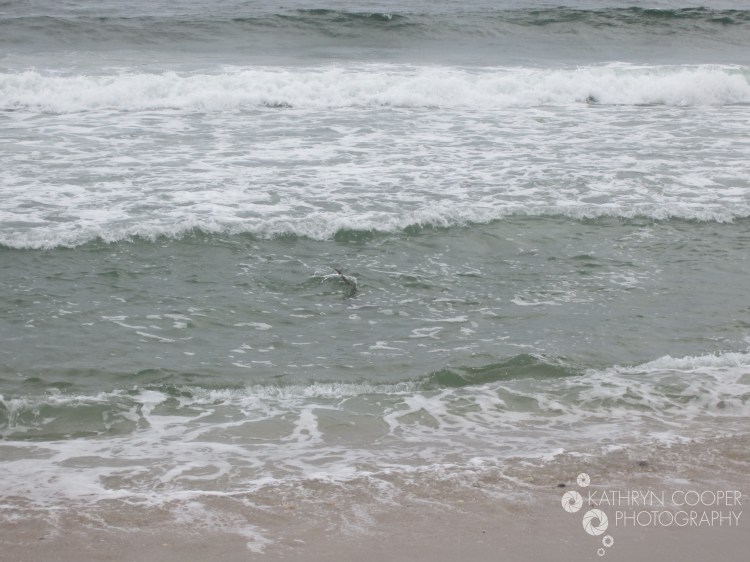 Wait, look closer...