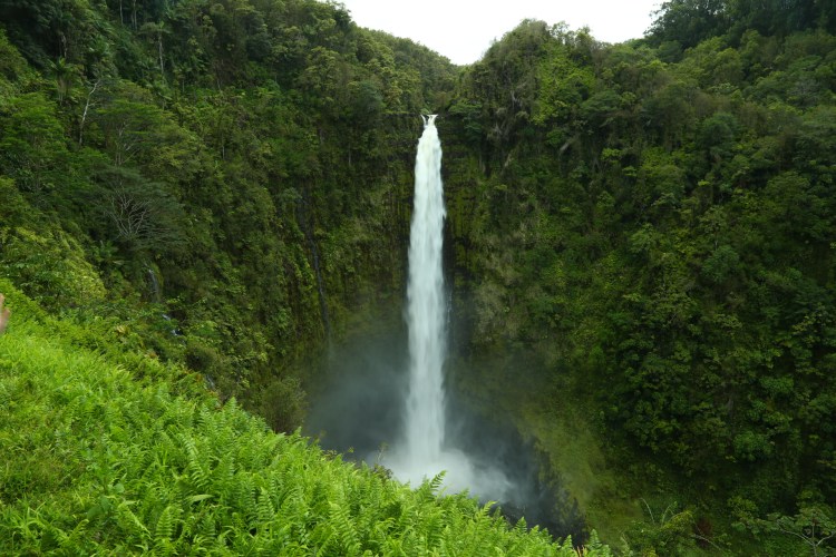 The beautiful green Akaka Falls